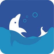 海豚学院app