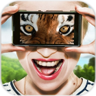 动物眼中的世界模拟器app