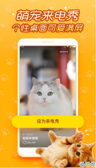 逗猫咪app